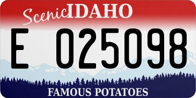 ID license plate E025098