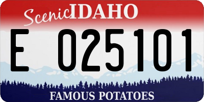 ID license plate E025101