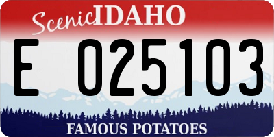 ID license plate E025103