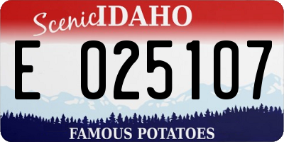 ID license plate E025107