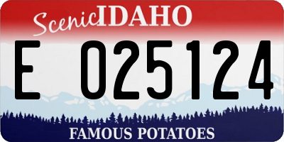 ID license plate E025124