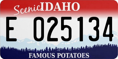ID license plate E025134