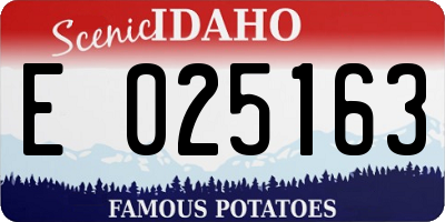 ID license plate E025163
