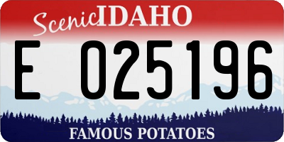 ID license plate E025196