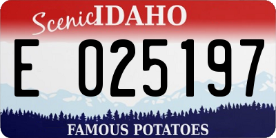 ID license plate E025197