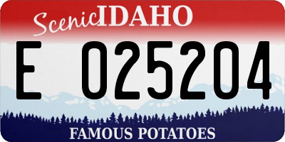 ID license plate E025204