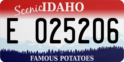 ID license plate E025206
