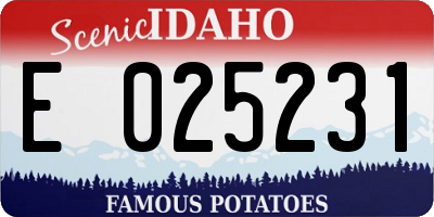 ID license plate E025231
