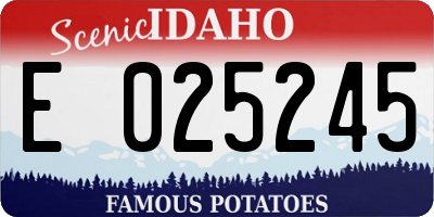 ID license plate E025245