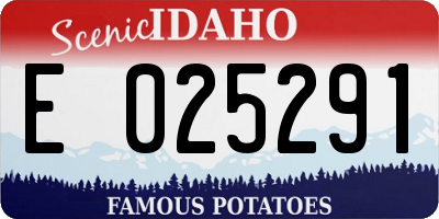 ID license plate E025291