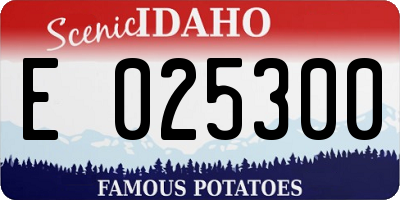 ID license plate E025300