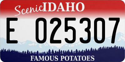 ID license plate E025307