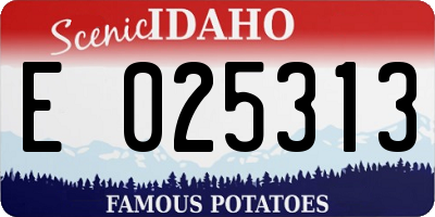 ID license plate E025313