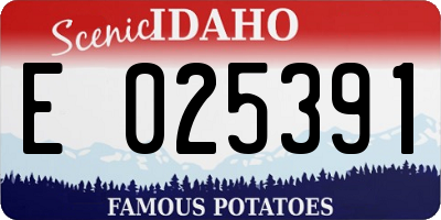 ID license plate E025391