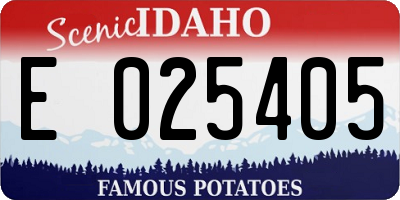 ID license plate E025405