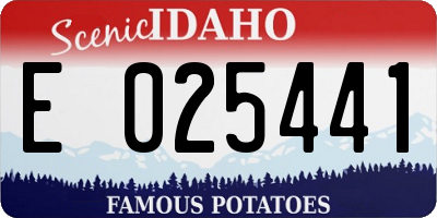 ID license plate E025441