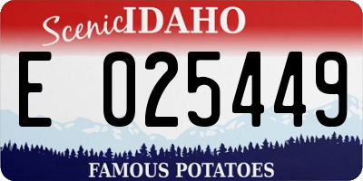 ID license plate E025449