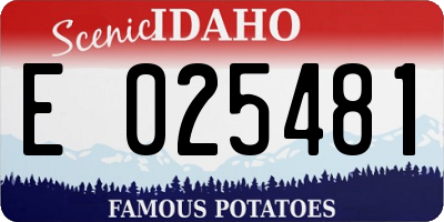 ID license plate E025481