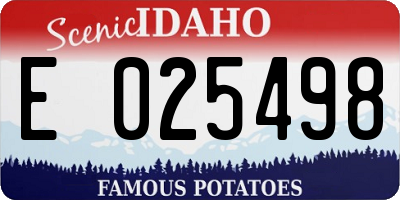 ID license plate E025498