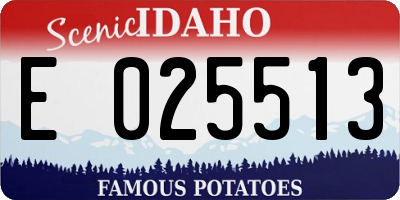 ID license plate E025513