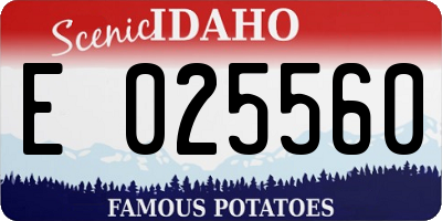 ID license plate E025560