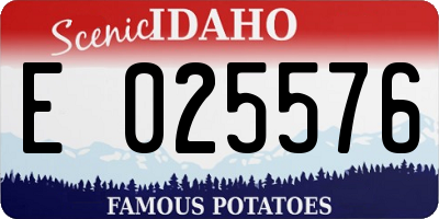 ID license plate E025576