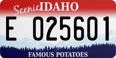 ID license plate E025601
