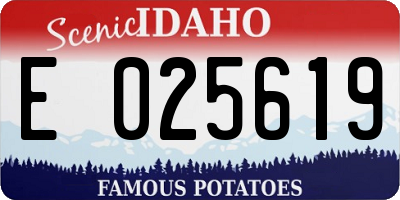 ID license plate E025619