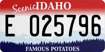 ID license plate E025796