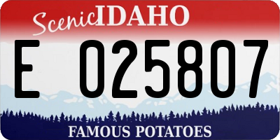 ID license plate E025807