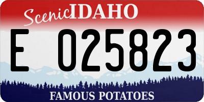 ID license plate E025823