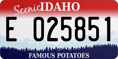 ID license plate E025851