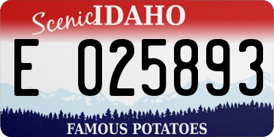 ID license plate E025893