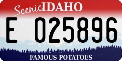 ID license plate E025896