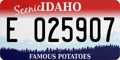 ID license plate E025907