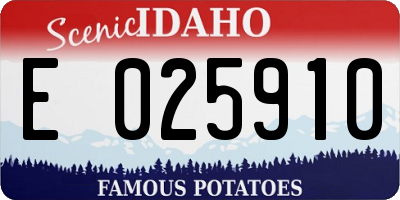 ID license plate E025910