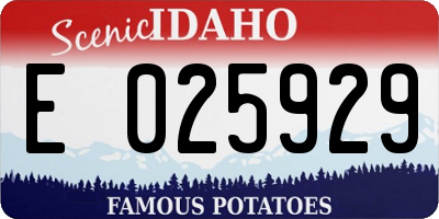 ID license plate E025929