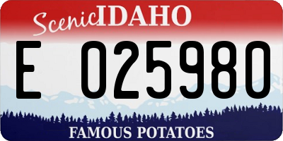 ID license plate E025980