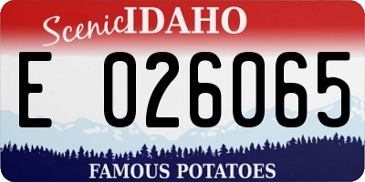 ID license plate E026065