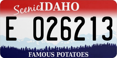 ID license plate E026213