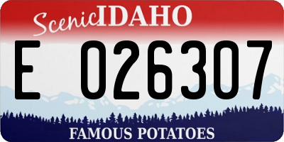 ID license plate E026307