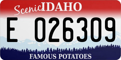 ID license plate E026309