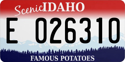 ID license plate E026310