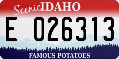 ID license plate E026313