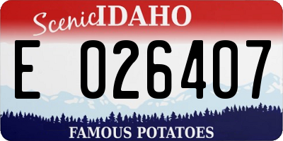 ID license plate E026407