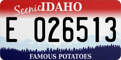 ID license plate E026513