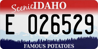 ID license plate E026529