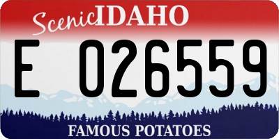 ID license plate E026559