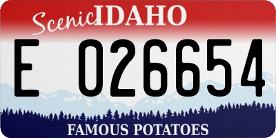 ID license plate E026654