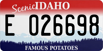 ID license plate E026698